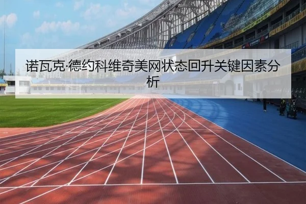 诺瓦克·德约科维奇美网状态回升关键因素分析